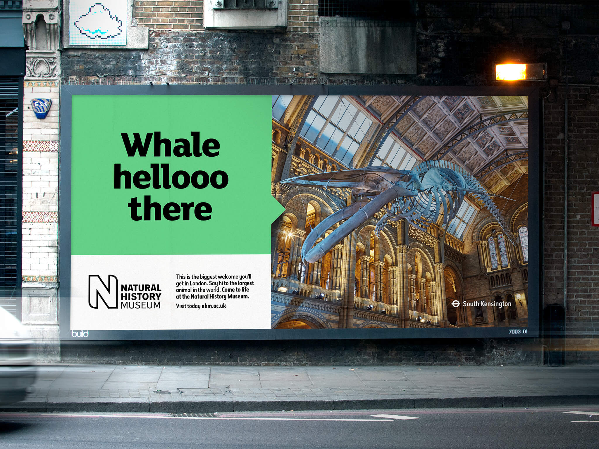Natural History Museum — New Brand Campaign